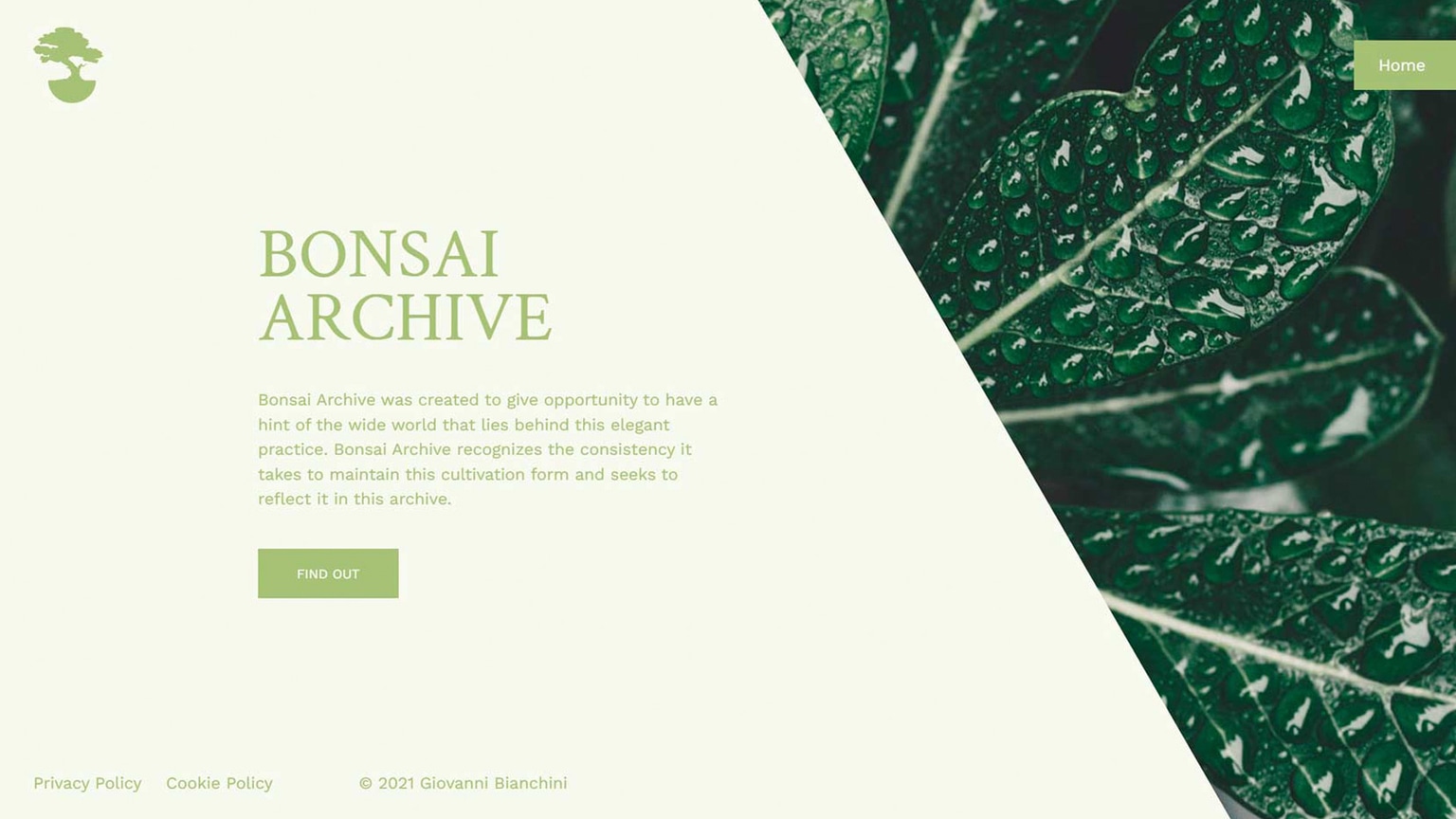 Bonsai Archive began as an exercise with the purpose of testing the potential of Wordpress' Rest Api. The backend is managed through Wordpress, essentially transformed into a Headless CMS, while the frontend exists on a separate domain and through APIs gets the necessary data from the backend